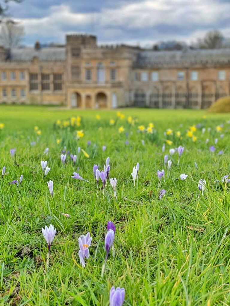 Forde Abbey flowers at Easter
