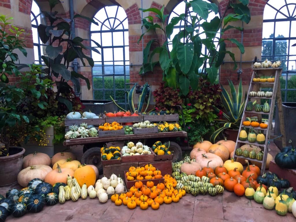 Harvest display Orangery Tyntesfield