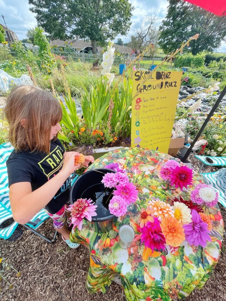Skoolbeanz Chilthorne Domer Somerset gardening club for kids
