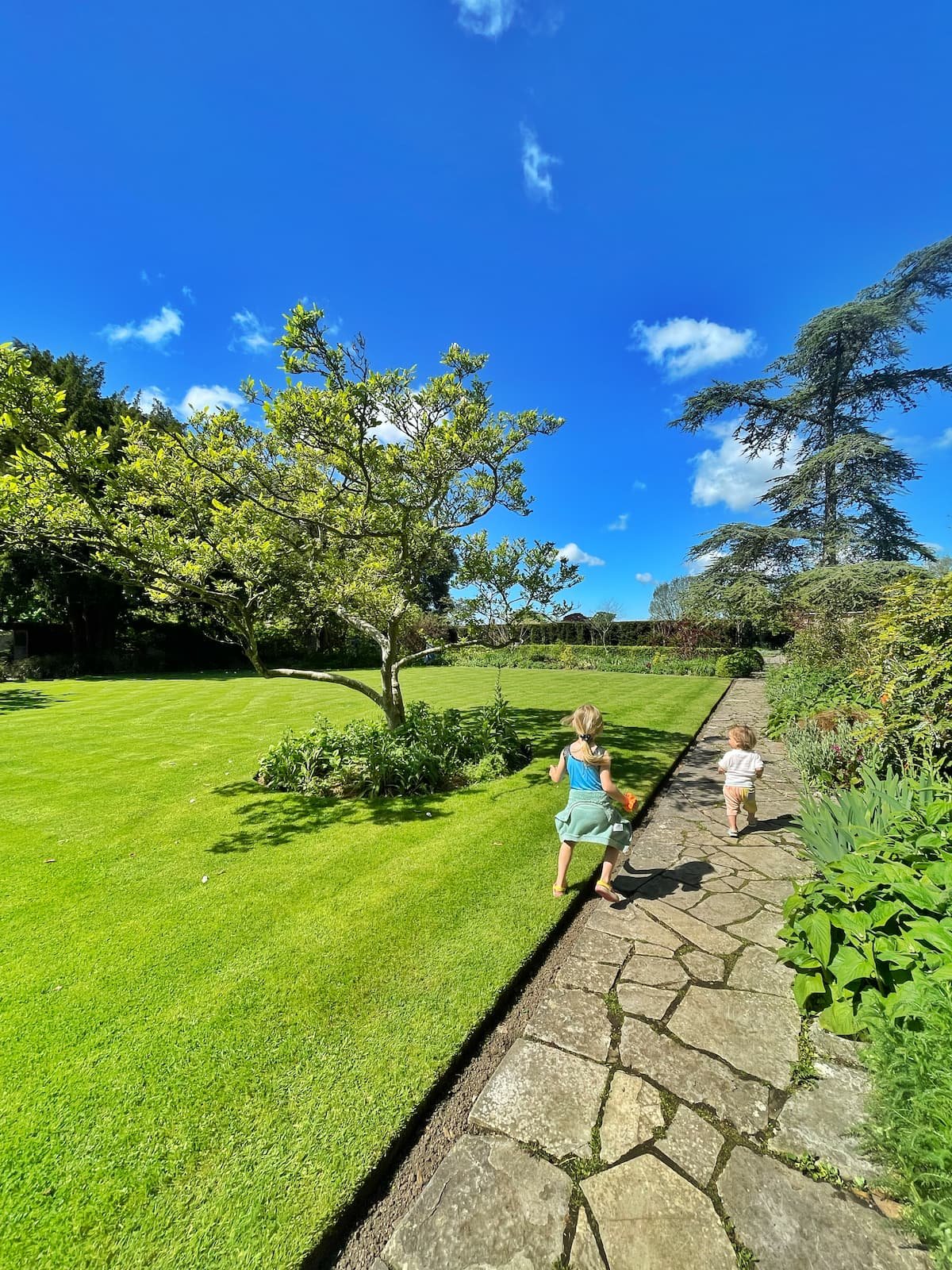 Tintinhull gardens National Trust Somerset