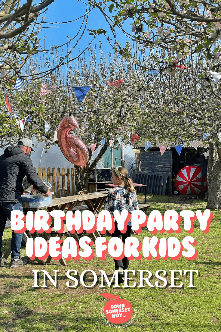 Birthday party ideas for kids in Somerset
