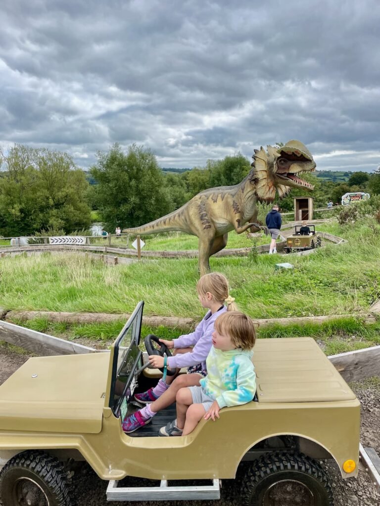 Avon Valley Wildlife and Adventure Park