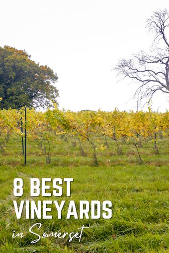 Best vineyards in Somerset