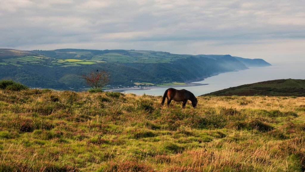 Exmoor Somerset