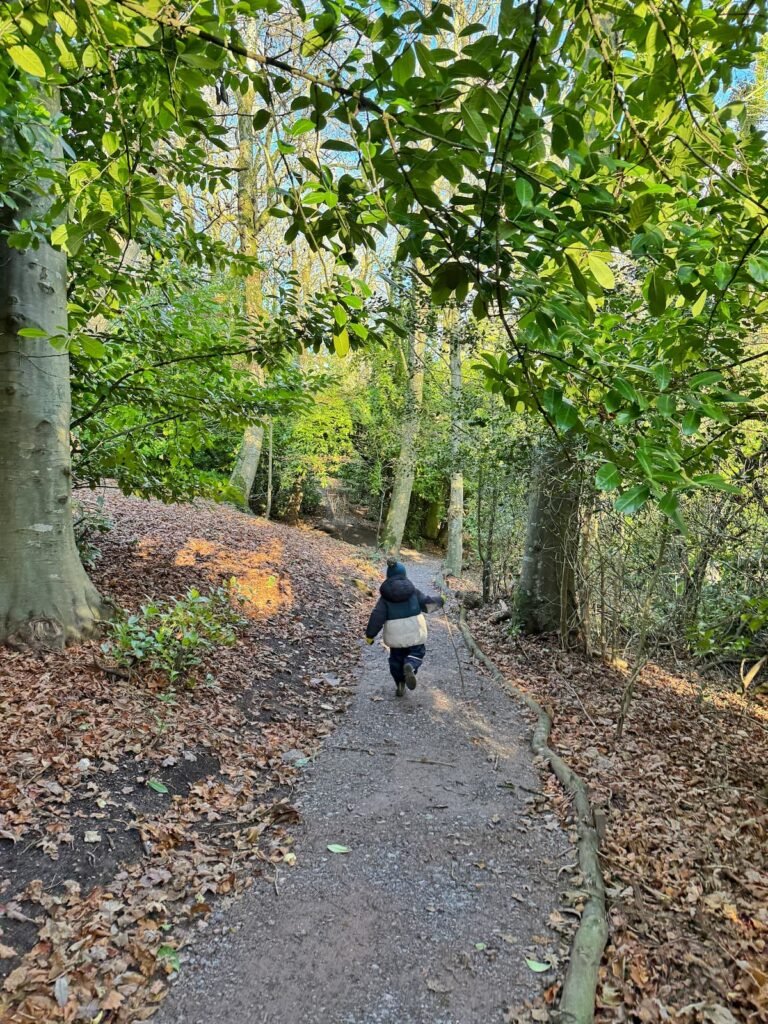 Wayford Woods circular walk, Somerset