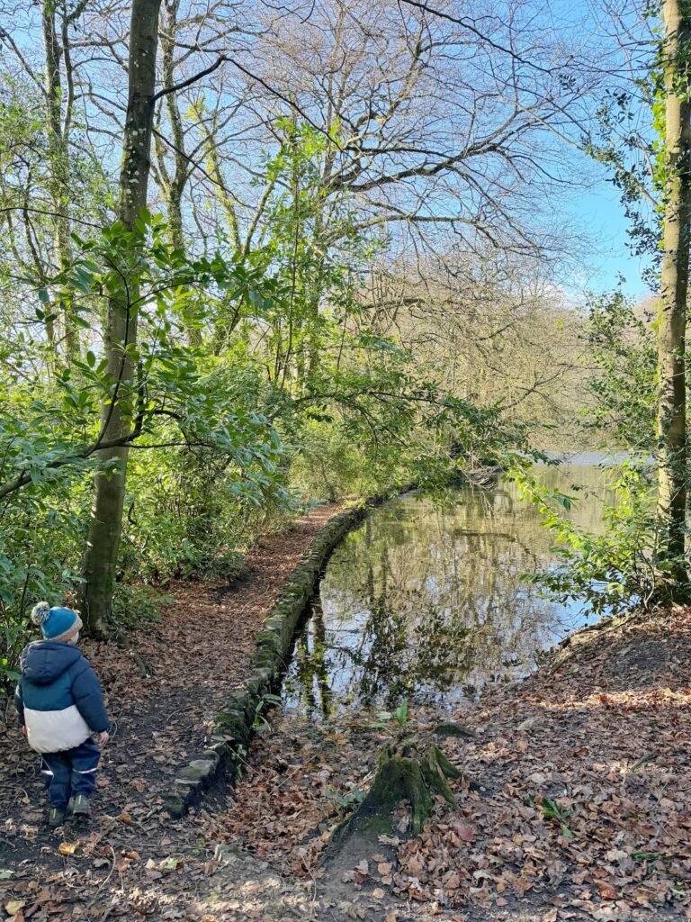 Wayford Woods circular family walk, Somerset