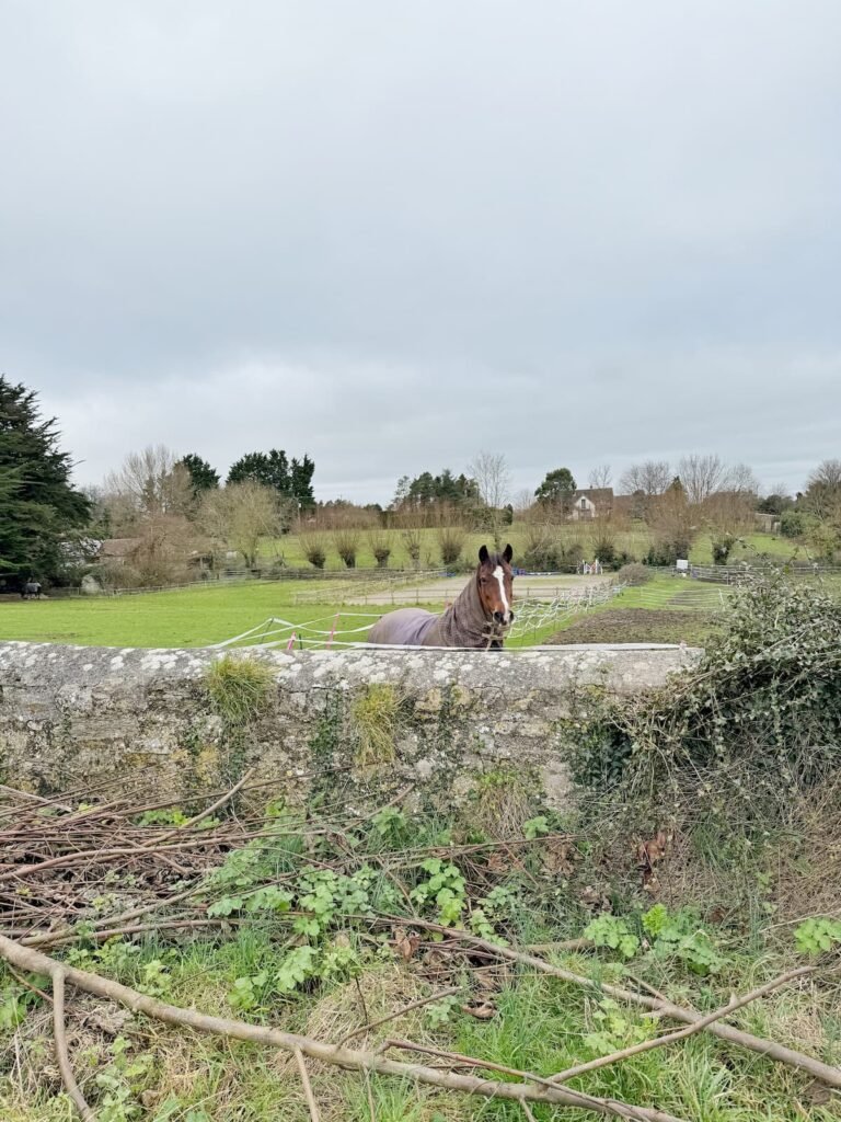 Firehouse Somerset to Burton Pynsent Monument circular walk