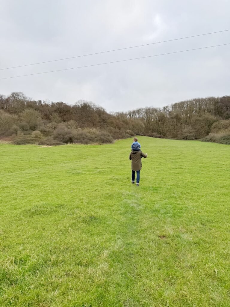 Firehouse to Burton Pynsent monument circular walk