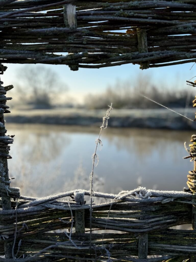 Frosty River Parrett Trail Langport circular walk