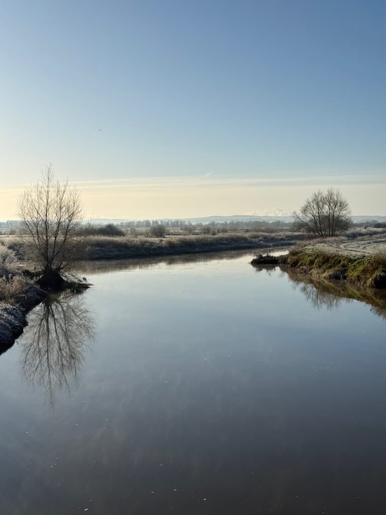 Parrett River Langport winter walk