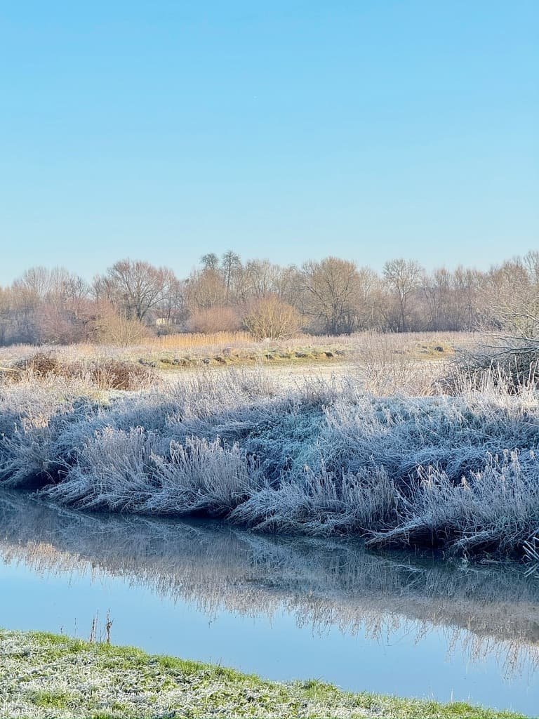 River Parrett trail, Langport circular walk