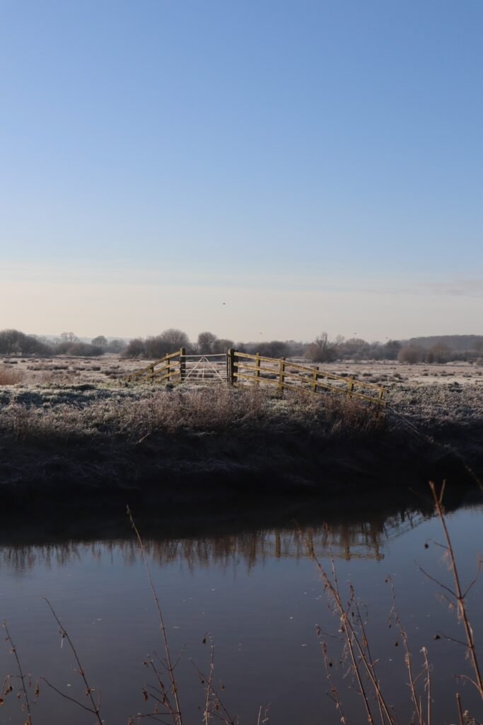 River Parrett Trail Langport circular walk