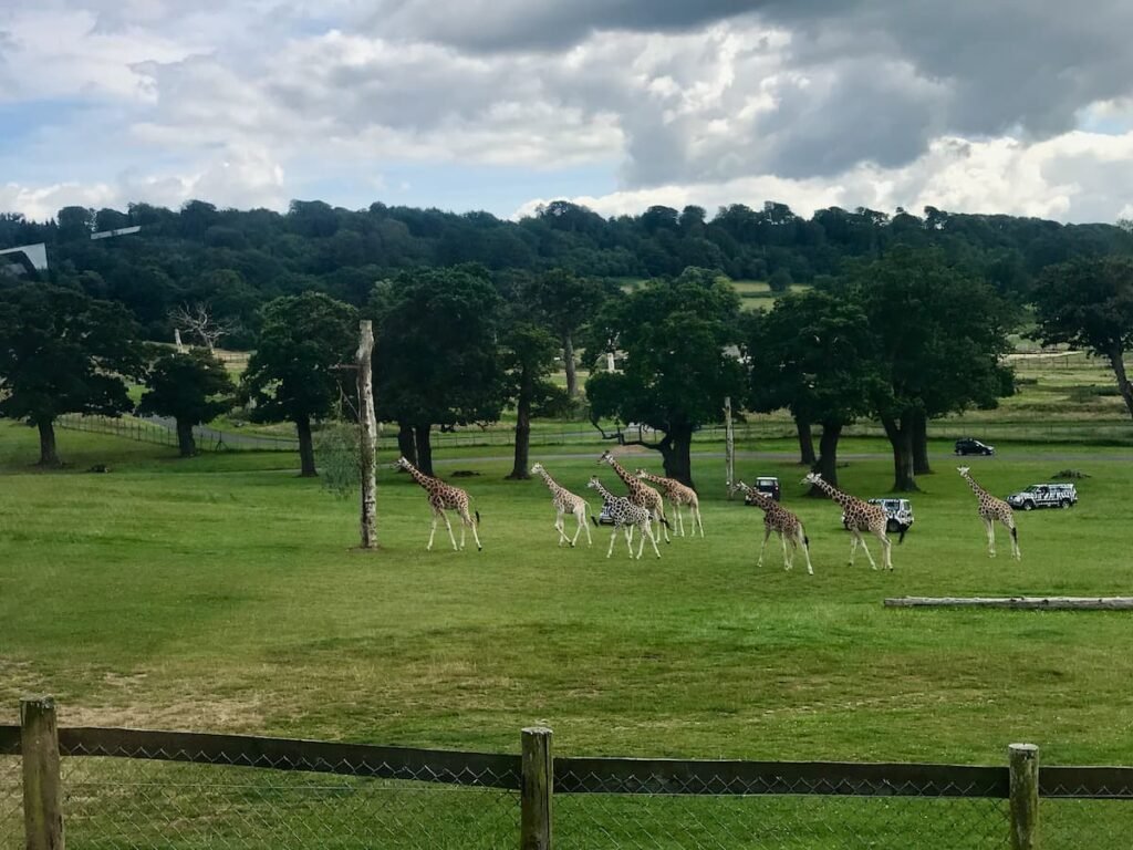 Longleat Safari Park