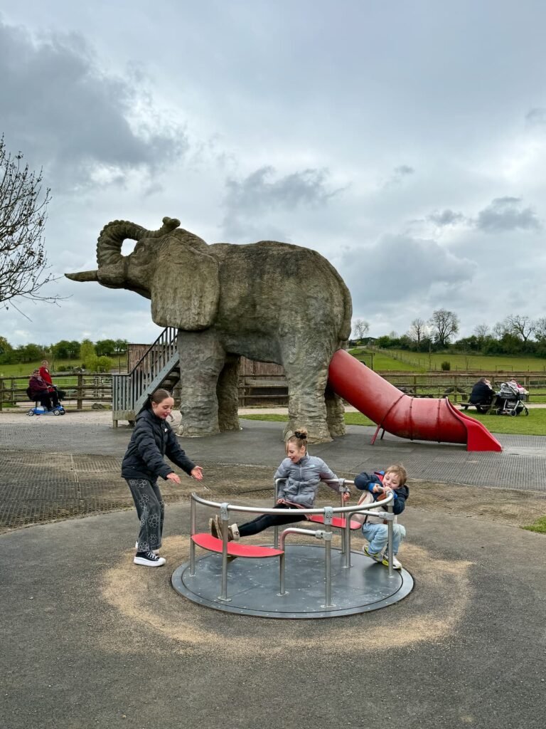 Noahs ark zoo farm elephant slide