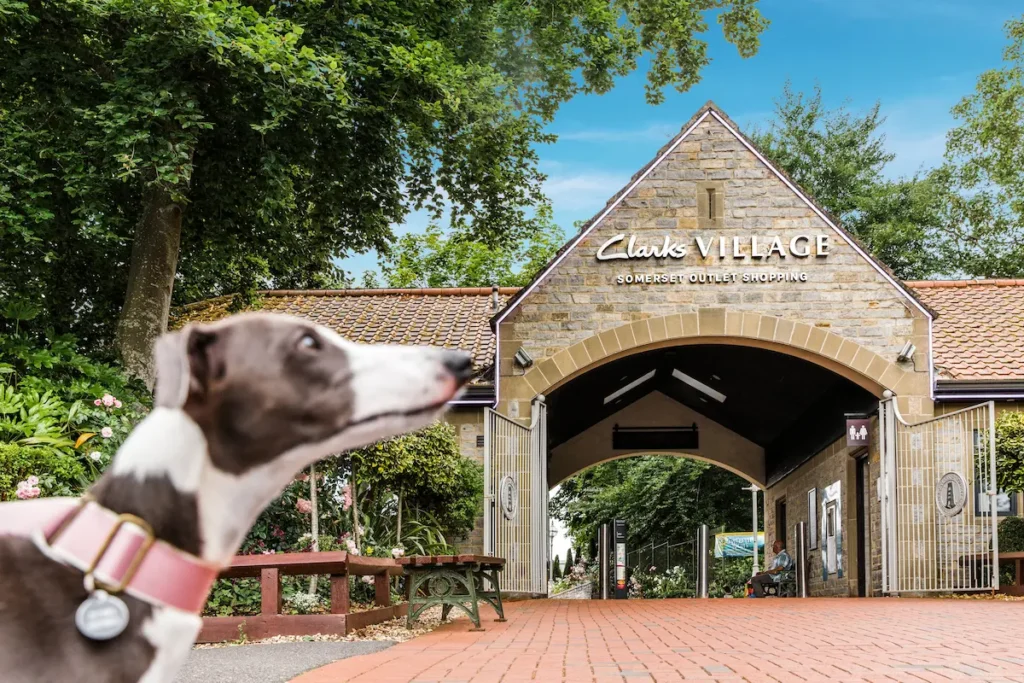 Dog-friendly clarks village somerset event