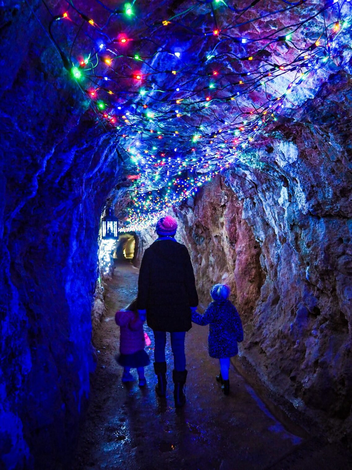 Things to Do in Somerset May Half Term 2026: Family Days Out - Down ...