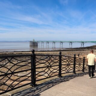 Pick your own flowers, fruit and veg in Somerset