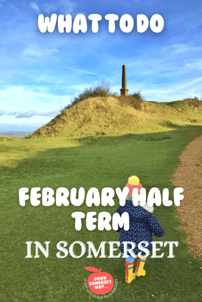 What to do in Somerset this February half term Down Somerset Way