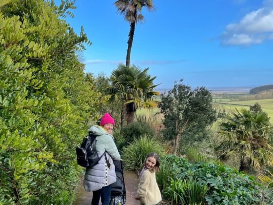 What to do in Somerset February half term 2026