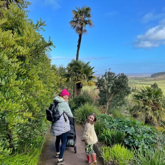 What to do in Somerset February half term 2026