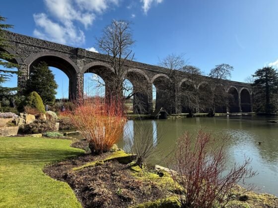 Gorgeous Gardens in Somerset you have to visit