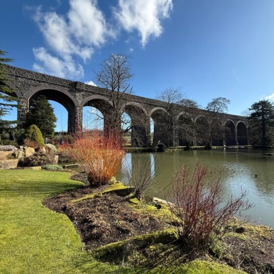Gorgeous Gardens in Somerset you have to visit