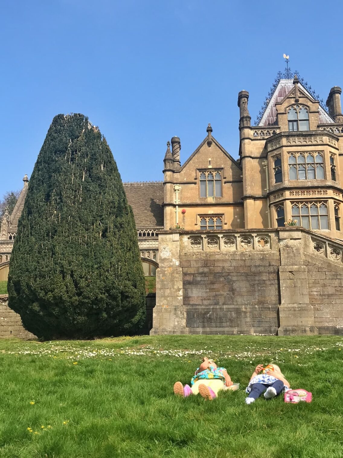 Things to Do in Somerset May Half Term 2026: Family Days Out - Down ...
