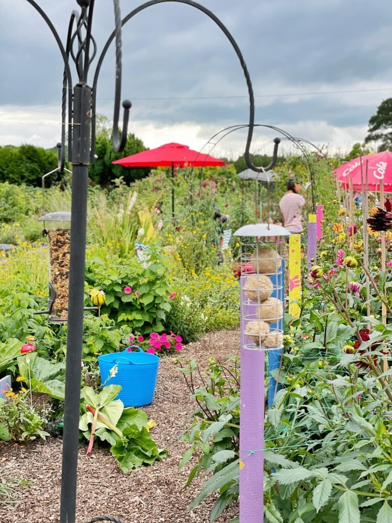 Skoolbeanz kids gardening club Somerset