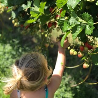 What’s on in Somerset this summer 2025: guide for families