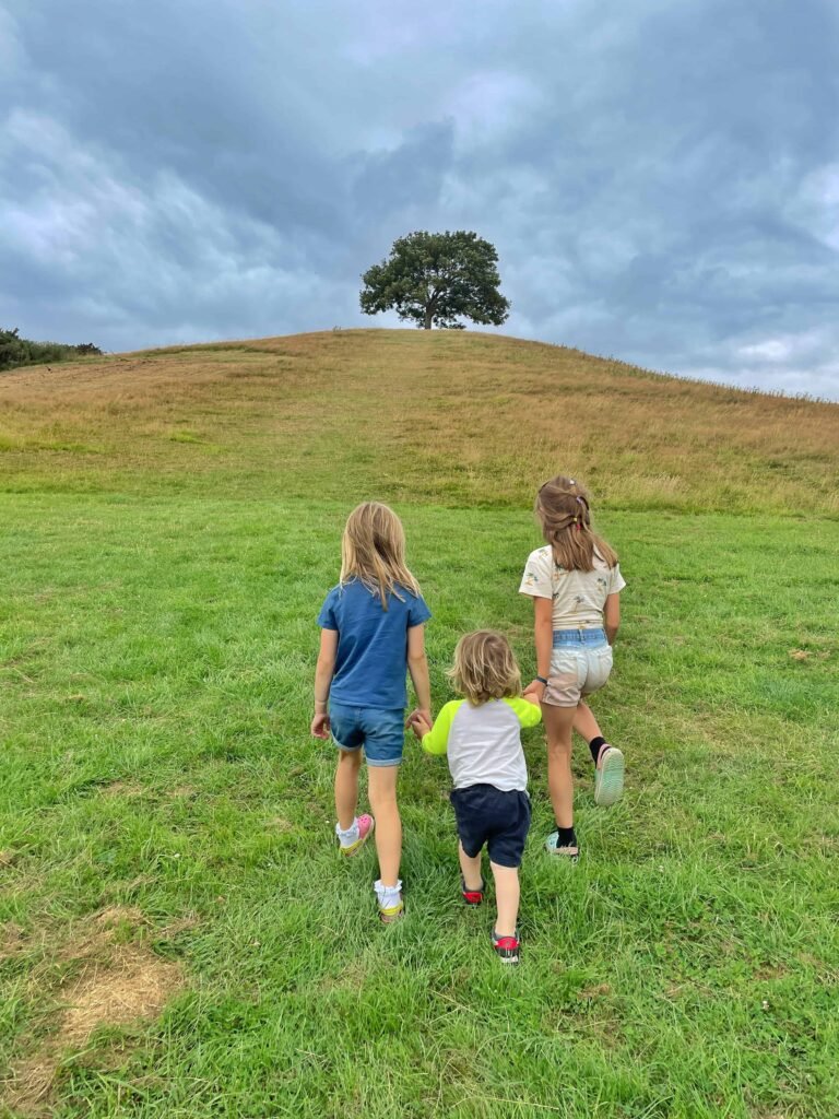 Burrow Hill, Somerset