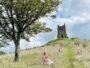 50 Best things to do in Somerset: A Local’s Guide