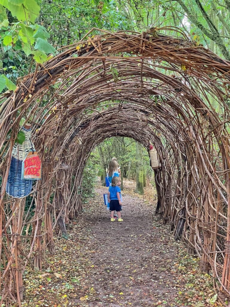 Coates English willow Somerset