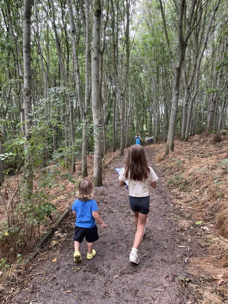 Coates English Willow, Somerset