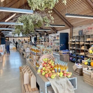 Pedal power: family-friendly cycling in Somerset