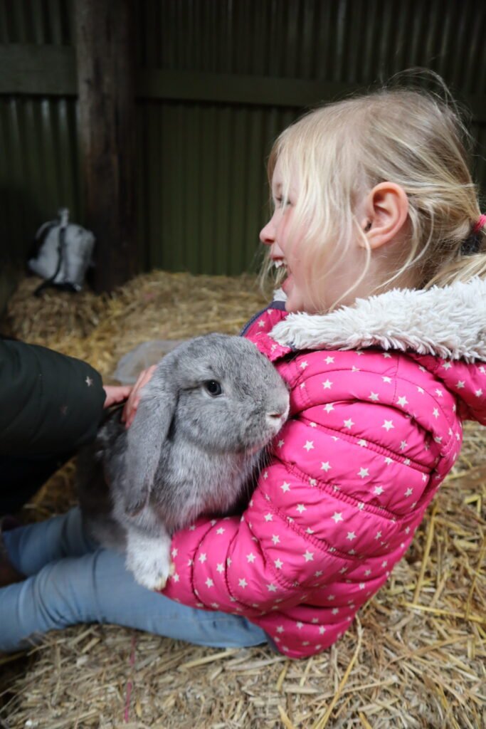 Chew Valley Animal Farm, Somerset