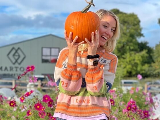 Where to find the best pumpkin picking in Somerset