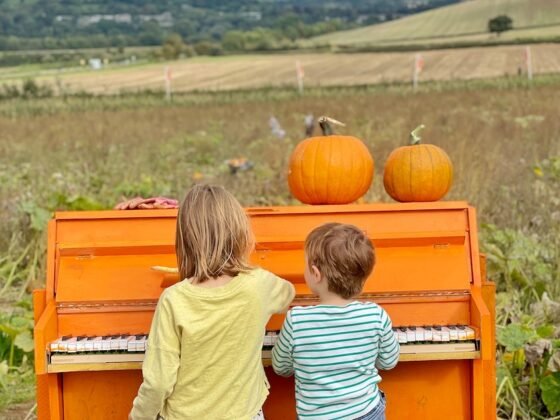 October half term activities in Somerset 2025