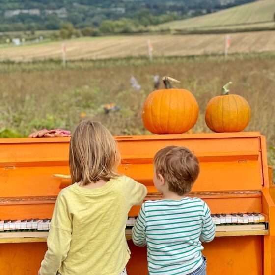 October half term activities in Somerset 2025