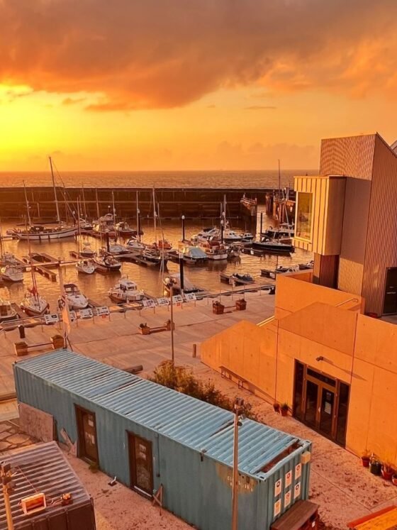 East Quay Watchet REVIEW