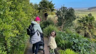Buggy and pram friendly walks somerset