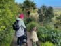 14 Buggy and pram friendly walks Somerset