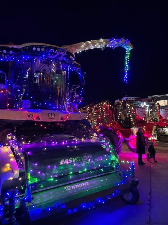 Twixmas in Somerset: Things to do between Christmas and New Year 2025-26