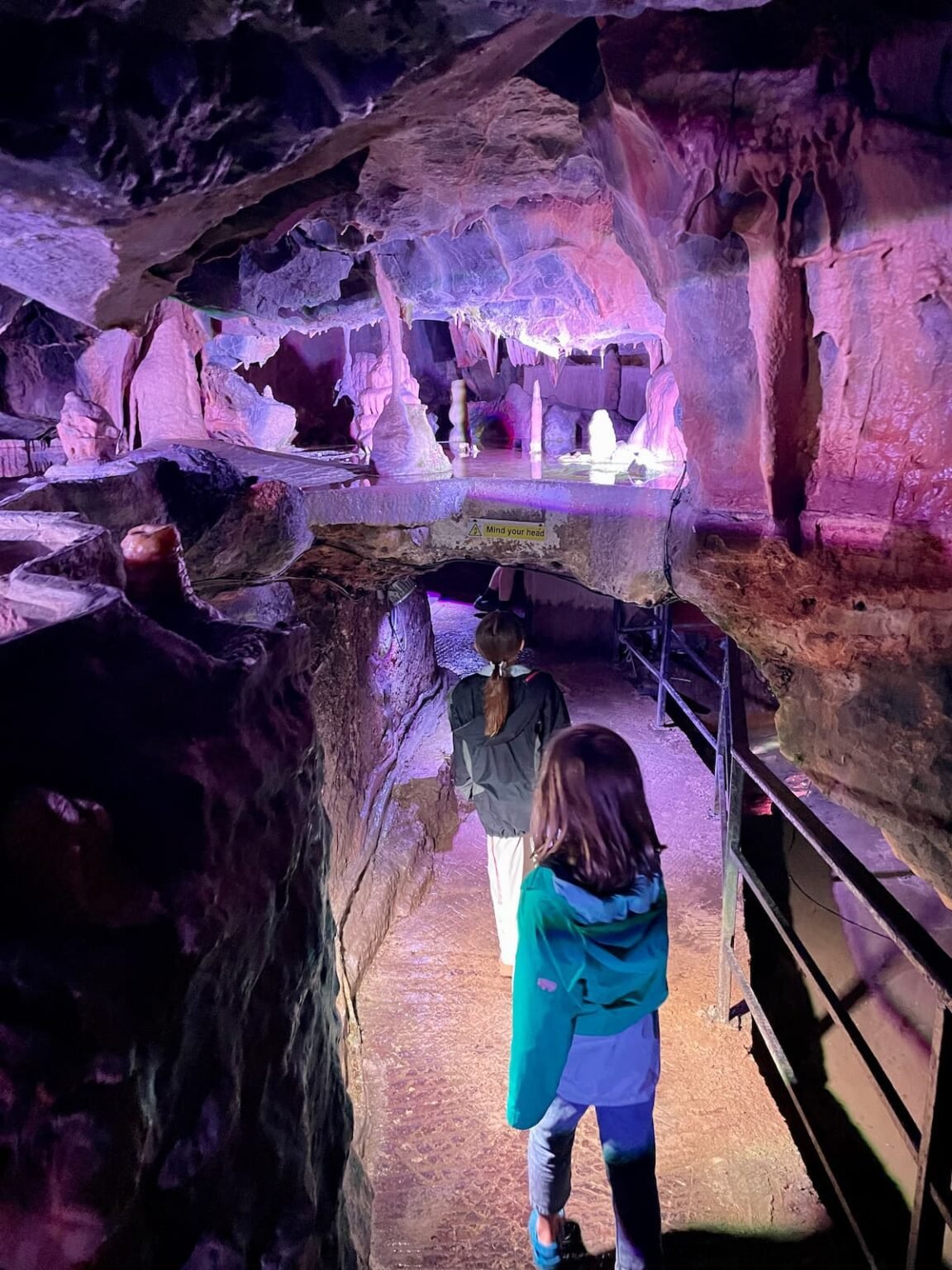 Things to Do in Somerset May Half Term 2026: Family Days Out - Down ...