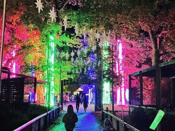 Twixmas in Somerset: Things to do between Christmas and New Year 2025-26