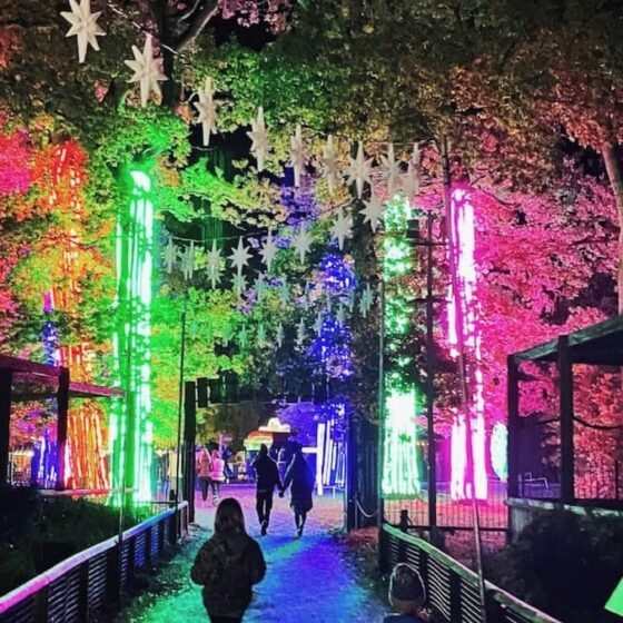 Twixmas in Somerset: Things to do between Christmas and New Year 2025-26