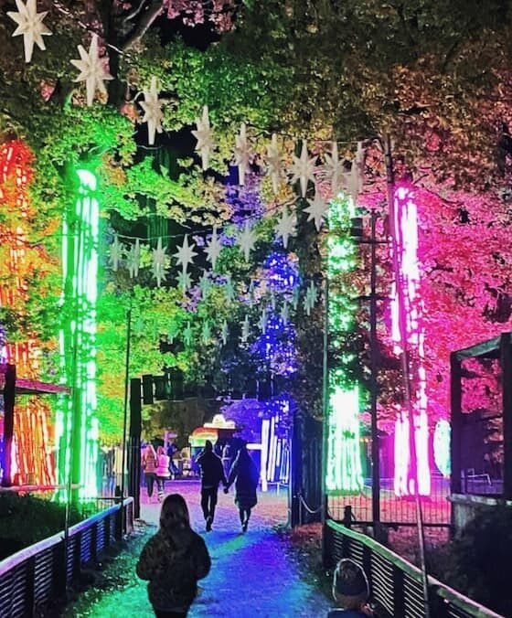 The best Christmas lights trails to visit in Somerset