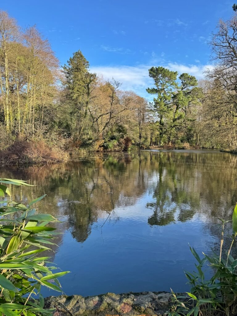 Wayford Woods circular family walk, Somerset