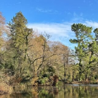 42 Acres Somerset wellbeing retreat: REVIEW