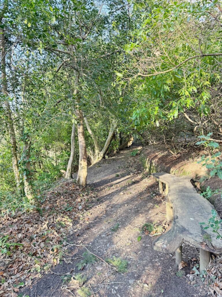 Wayford Woods circular family walk, Somerset