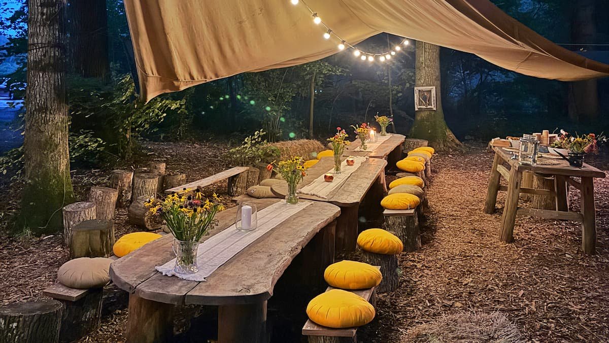 42 acres dining woodland experience somerset